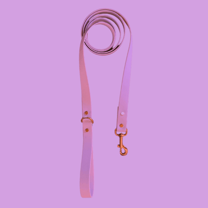 Amethyst Leash