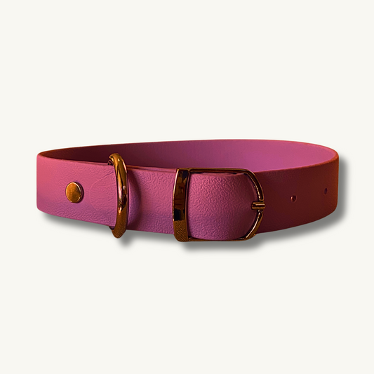 Maroon Collar