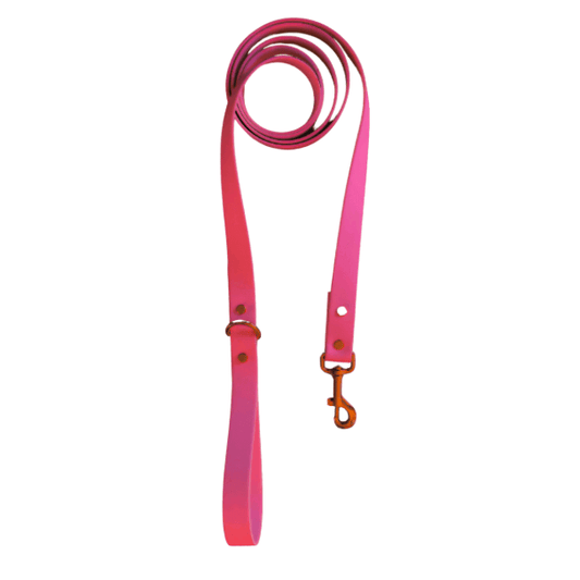 Magenta Leash