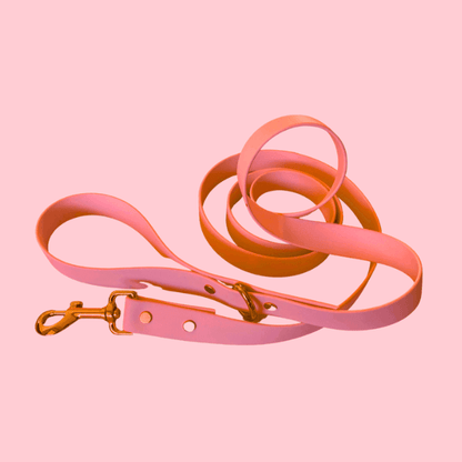 Coral Leash