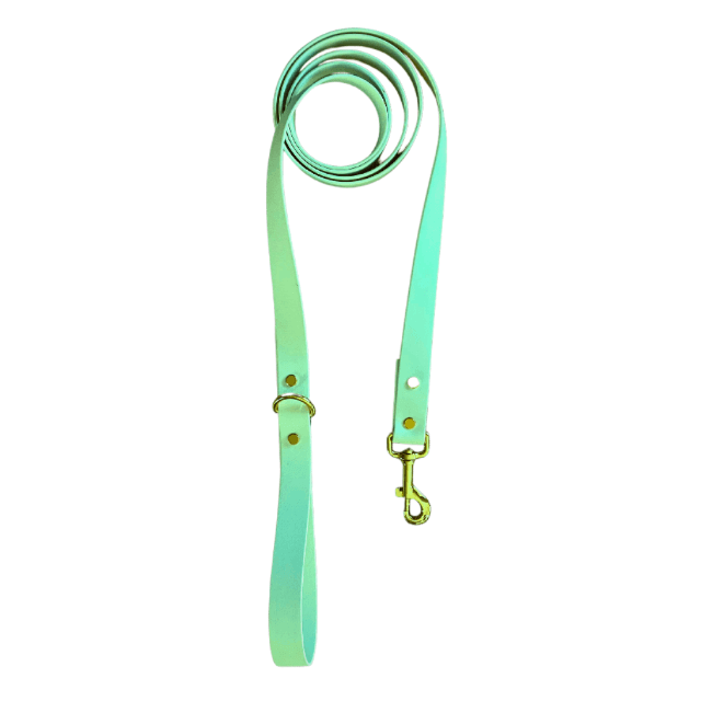 Sea Foam Leash