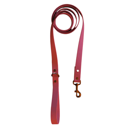 Maroon Leash