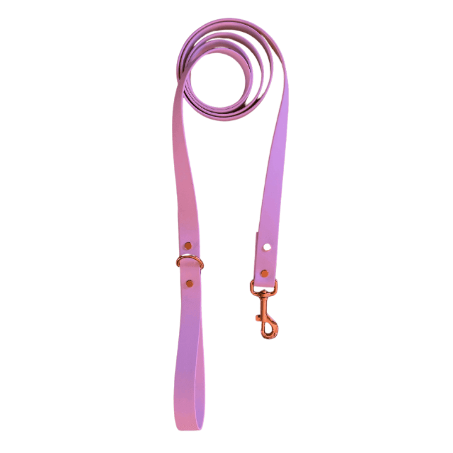 Amethyst Leash