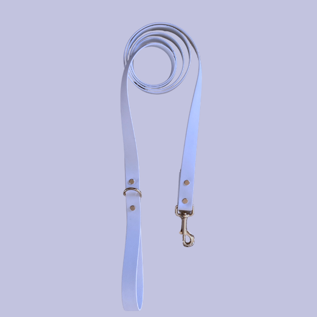 Bridgerton Leash