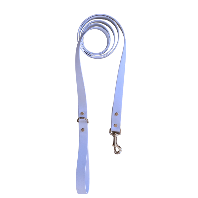 Bridgerton Leash