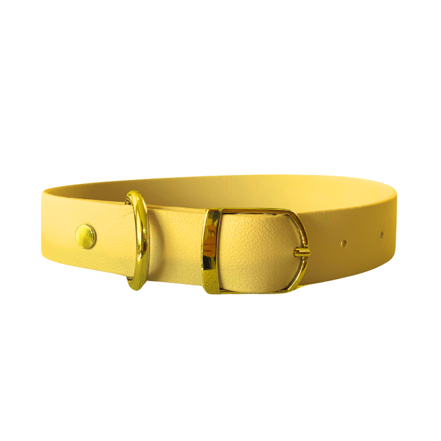 Yellow Collar