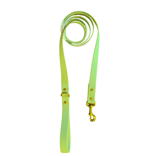 Mint Green Leash