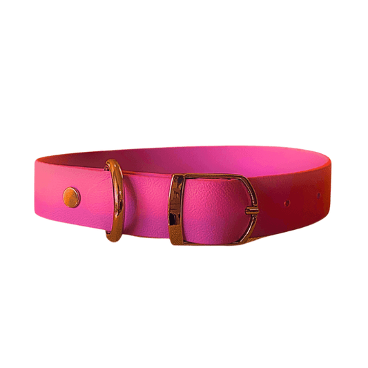 Magenta Collar