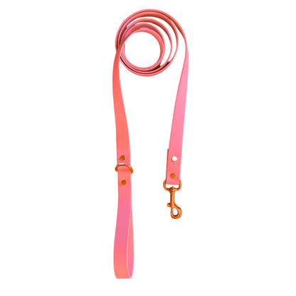 Coral Leash