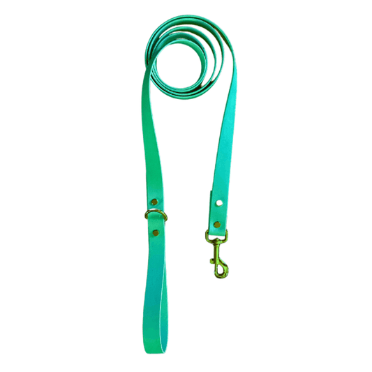 Teal Leash