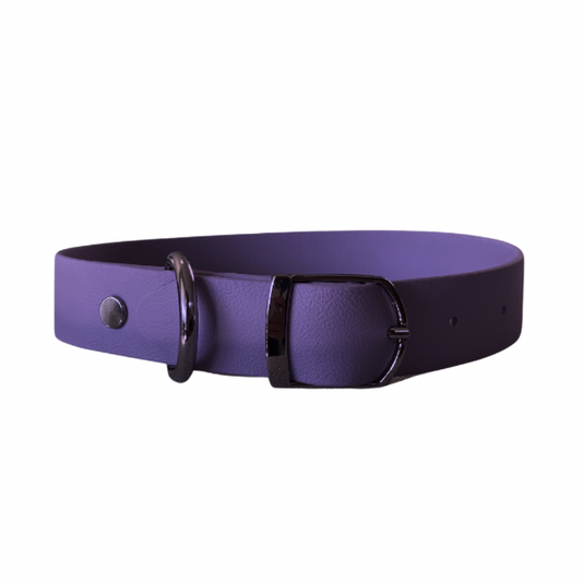 Purple Collar