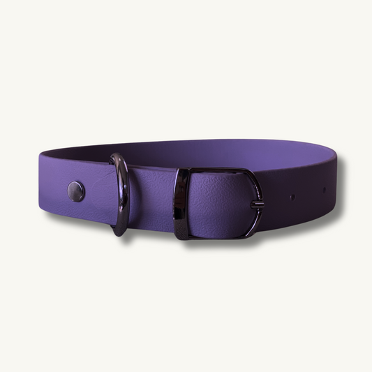 Purple Collar