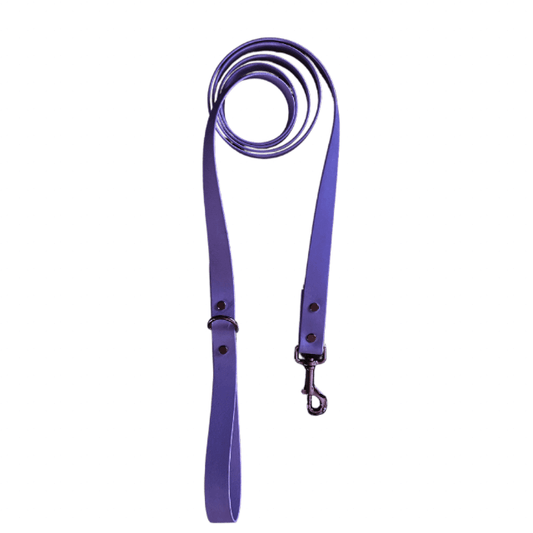 Purple Leash