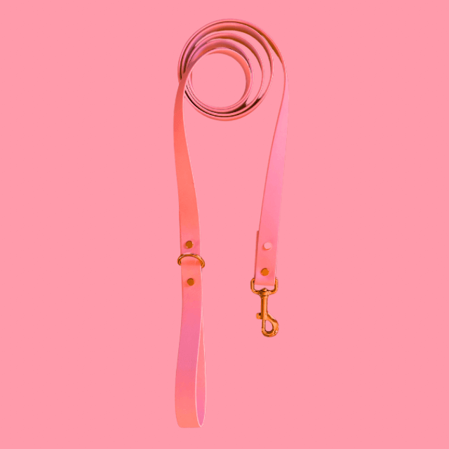 Coral Leash