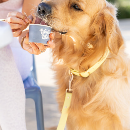 Yellow Leash