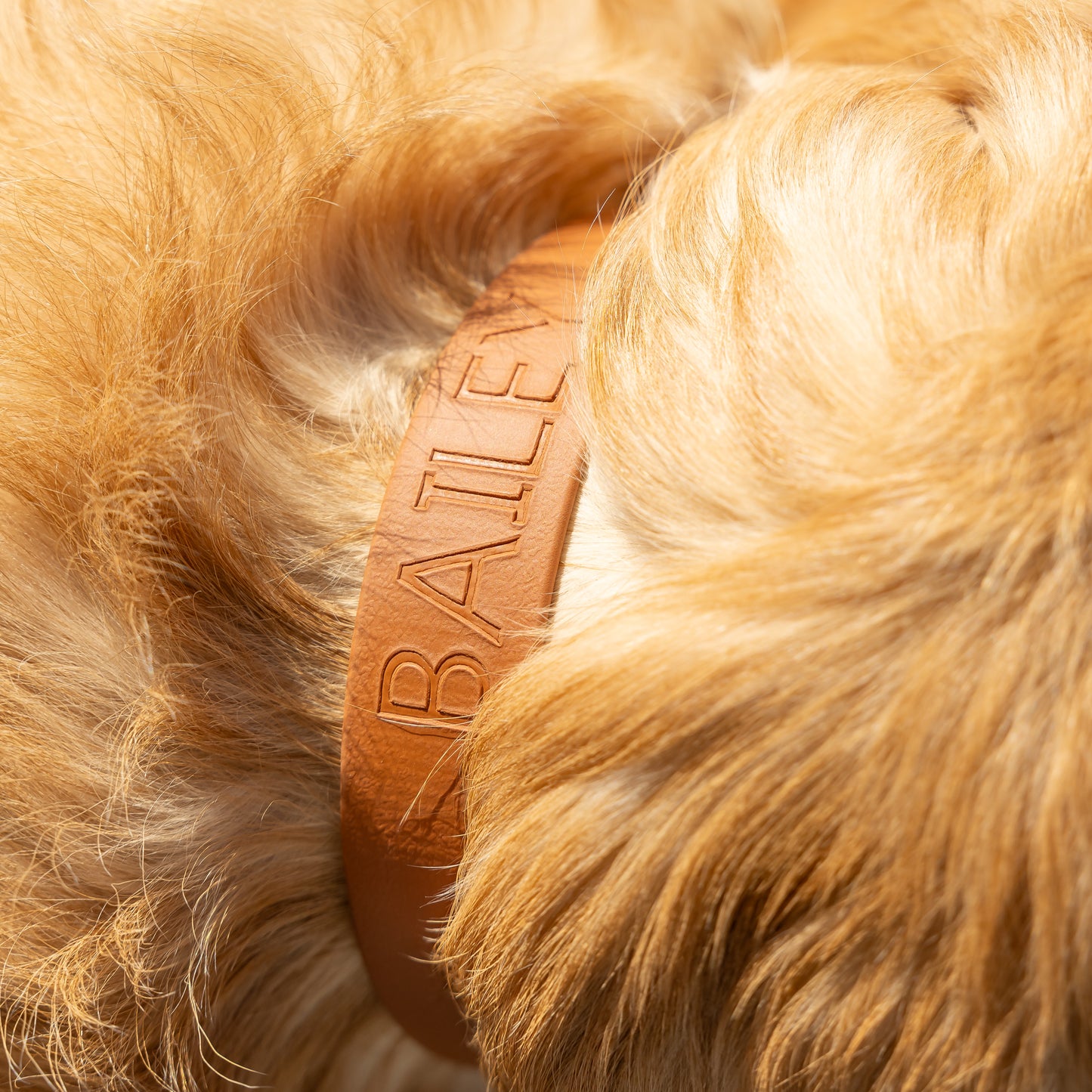 Caramel Collar