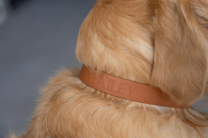 Caramel Collar