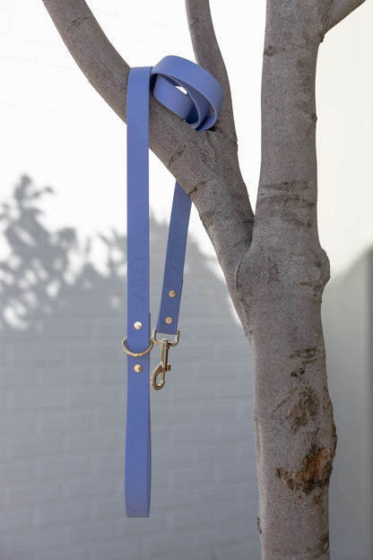 Periwinkle Leash