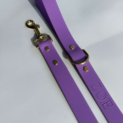 Amethyst Leash