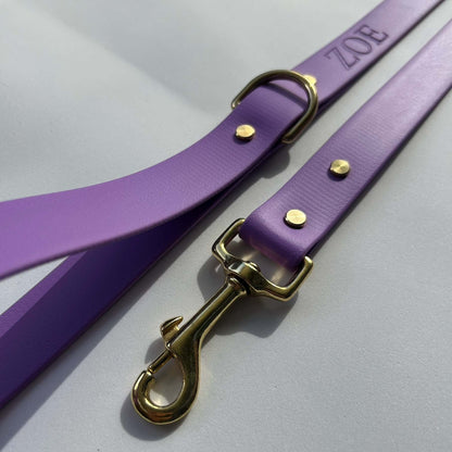 Amethyst Leash