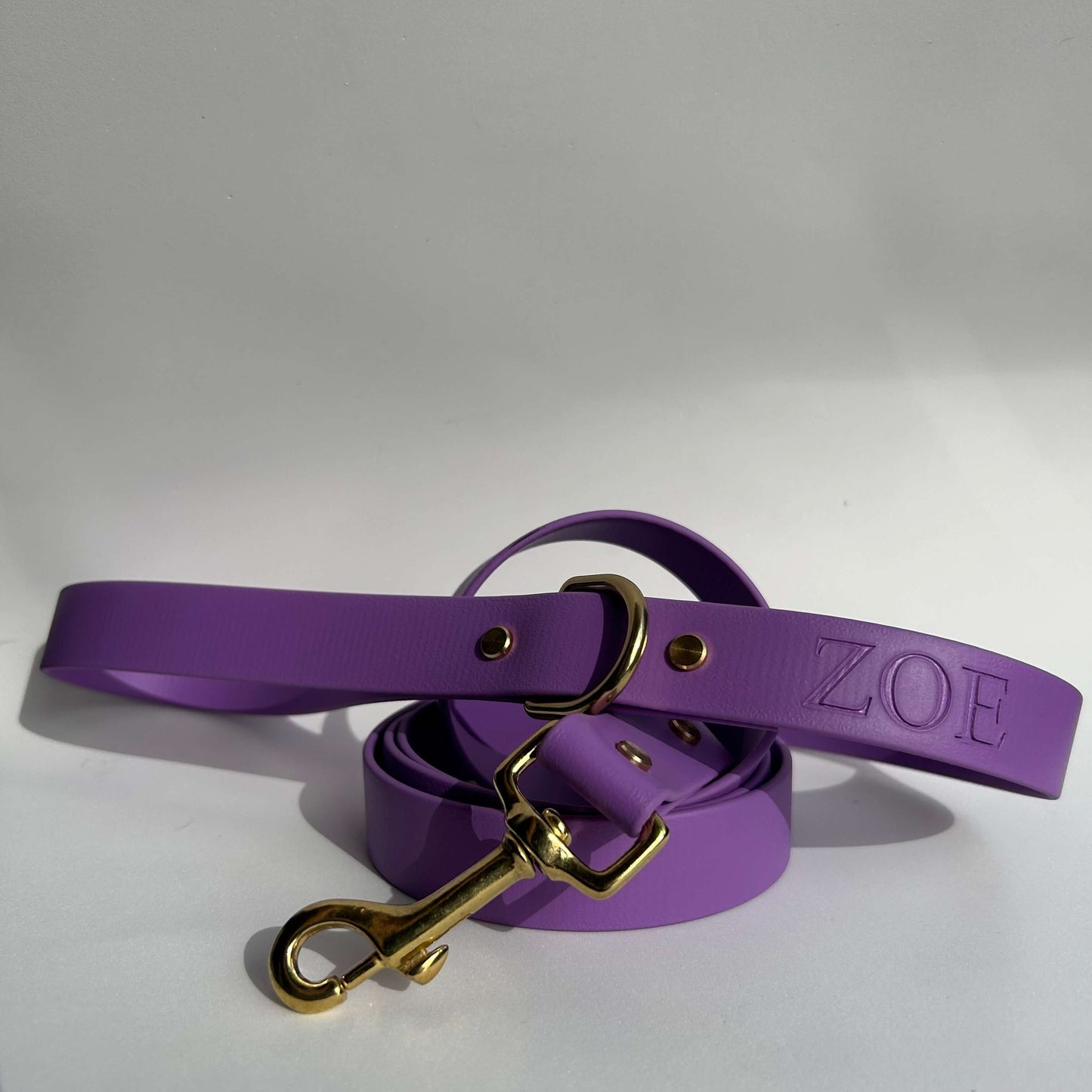 Amethyst Leash