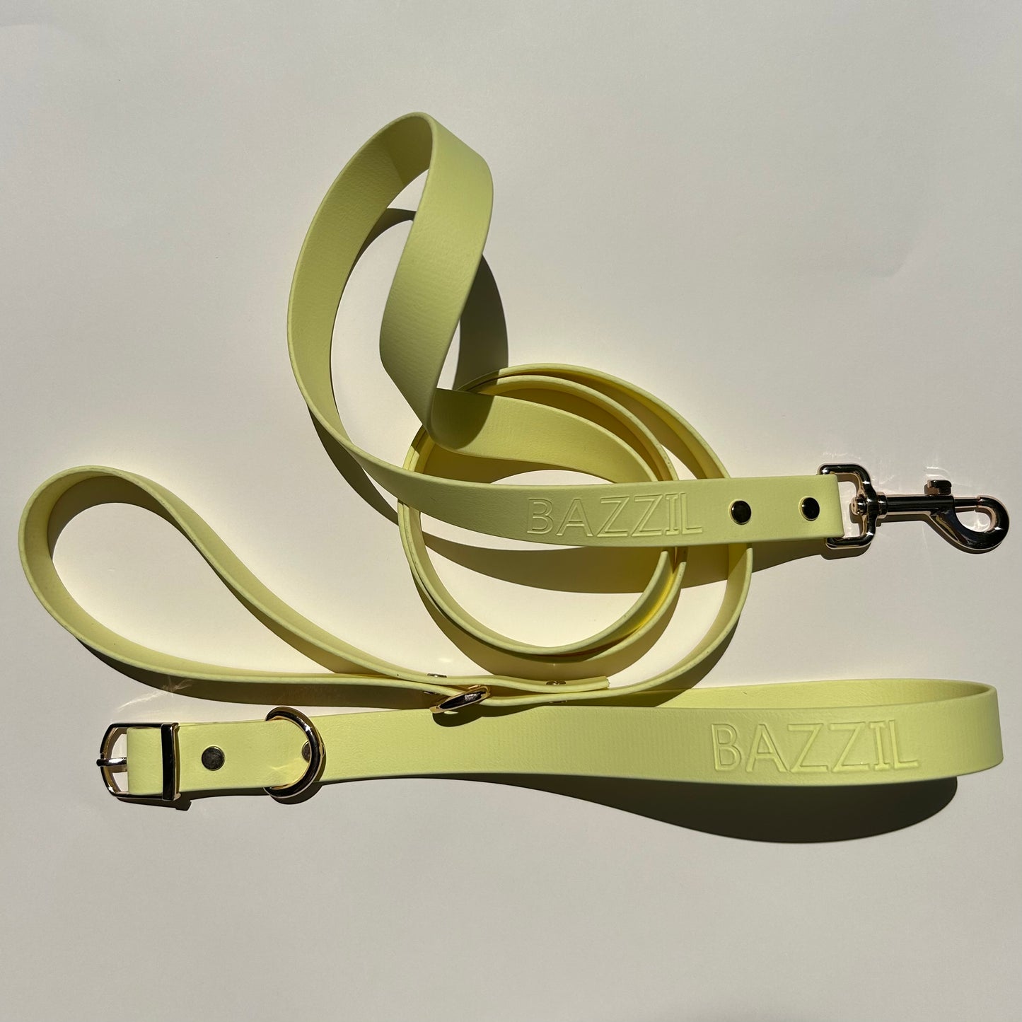 Buttercup Leash