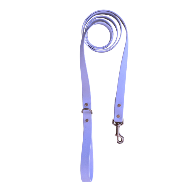 Periwinkle Leash