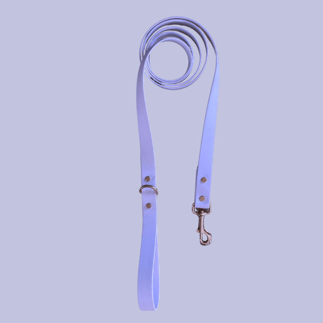 Periwinkle Leash